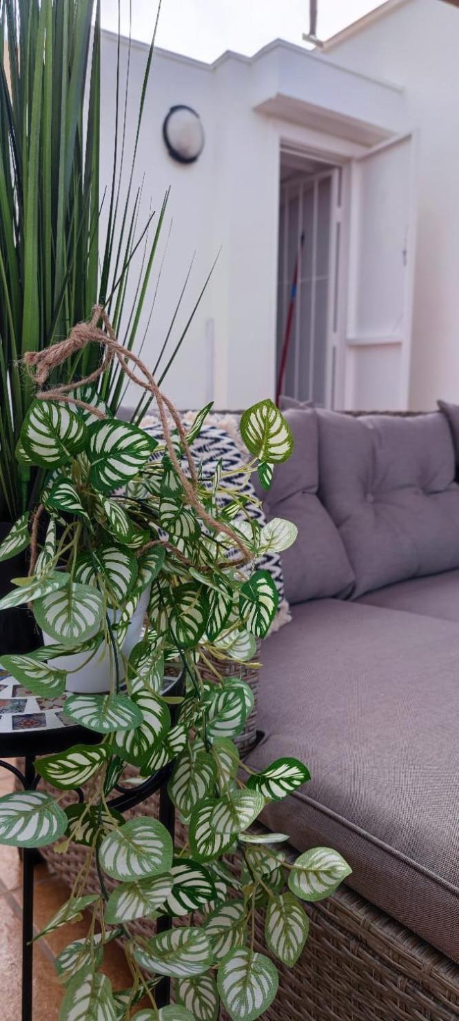 Apartamento Casa De Alba Cabo Cervera La Mata Torrevieja Extérieur photo