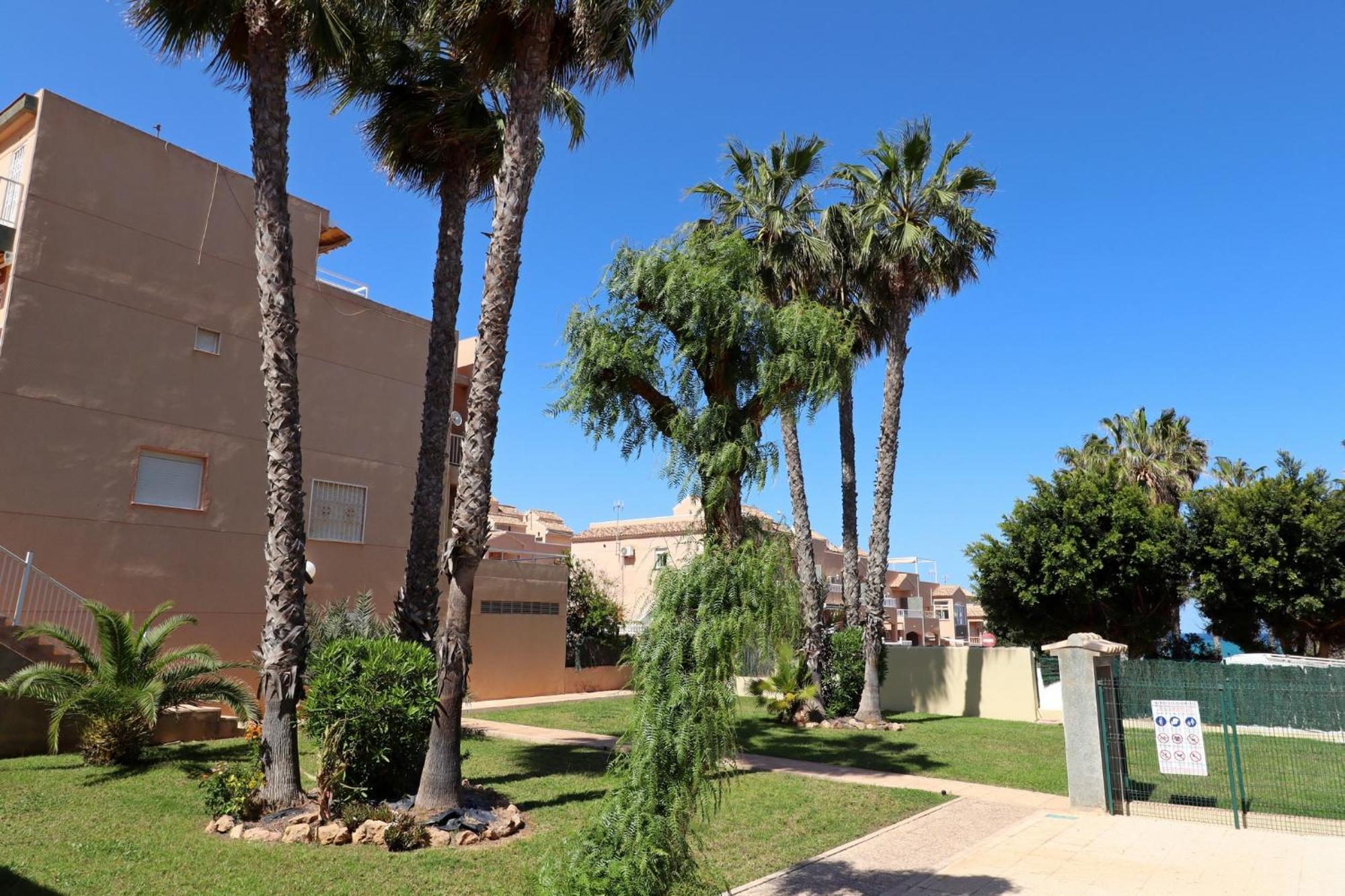 Apartamento Casa De Alba Cabo Cervera La Mata Torrevieja Extérieur photo